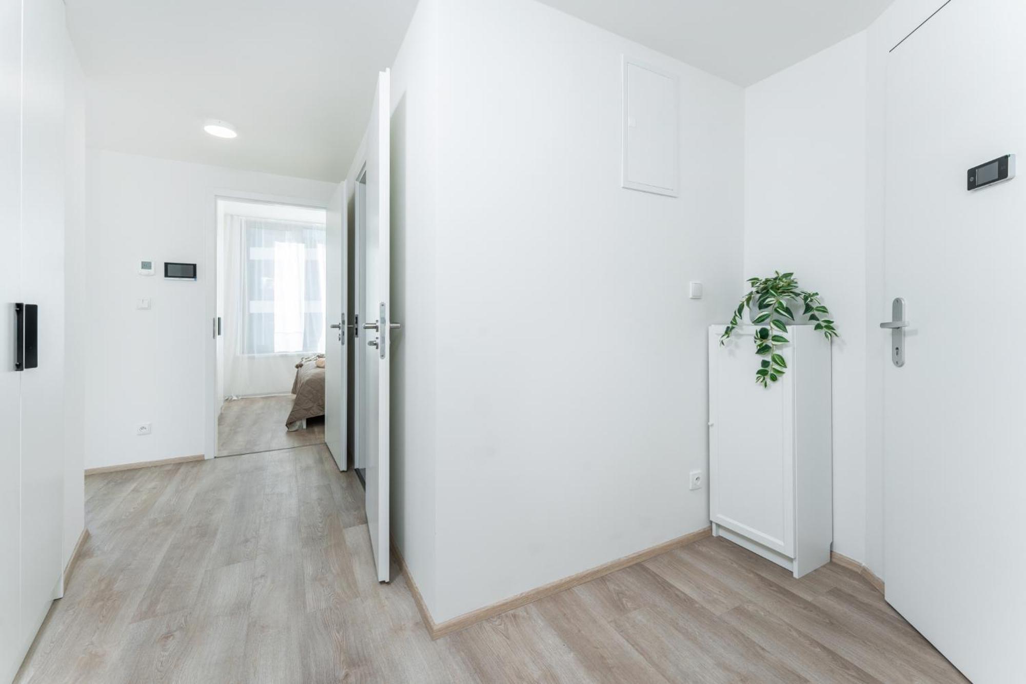 Mymozart Apartments Prague By Rentero Property المظهر الخارجي الصورة